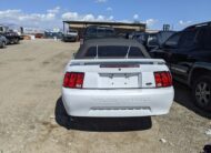 FORD MUSTANG 2003 – DD0288