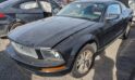 2006 Ford Mustang – DD1534