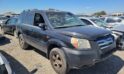 2007 Honda Pilot – DD1944