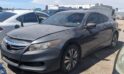 2011 Honda Accord – DD1869