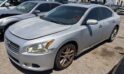 2010 Nissan Maxima – DD3162