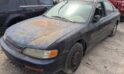 1995 HONDA ACCORD – DD3435