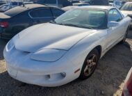 PONTIAC FIREBIRD 1999 – DD3800