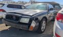 2005 FORD CROWN VIC – DD4049