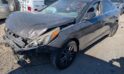 2016 HYUNDAI SONATA – DD4558